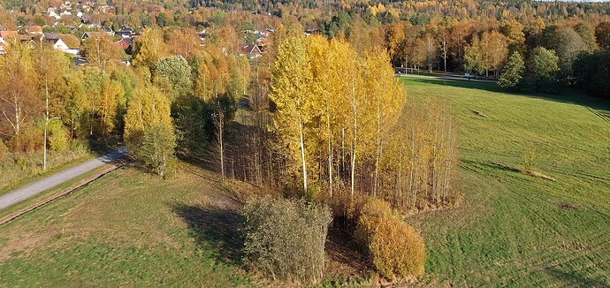 Copy Hösten 8.10.2022