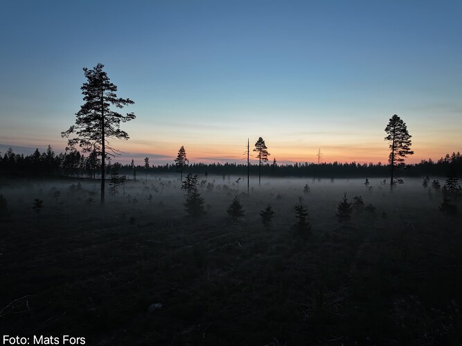 dji_fly_20250730_230342_0072_1753912915861_photo