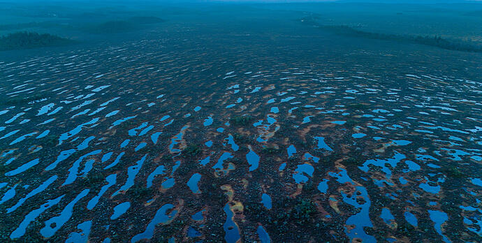 Komosse-vattenpölar