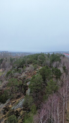 dji_fly_20240220_152648_74_1708439229586_photo_optimized