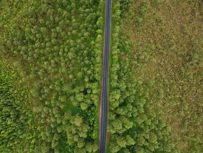 DJI_0599