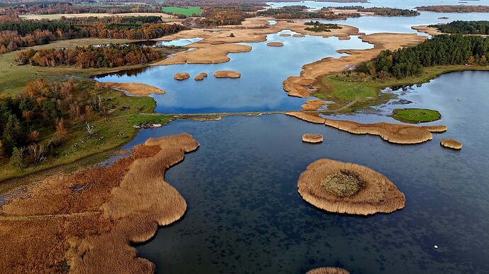 dji_fly_20251102_133250_0064_1762087457620_photo