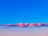 DJI_20240914083155_0363_D-Enhanced-NR-2